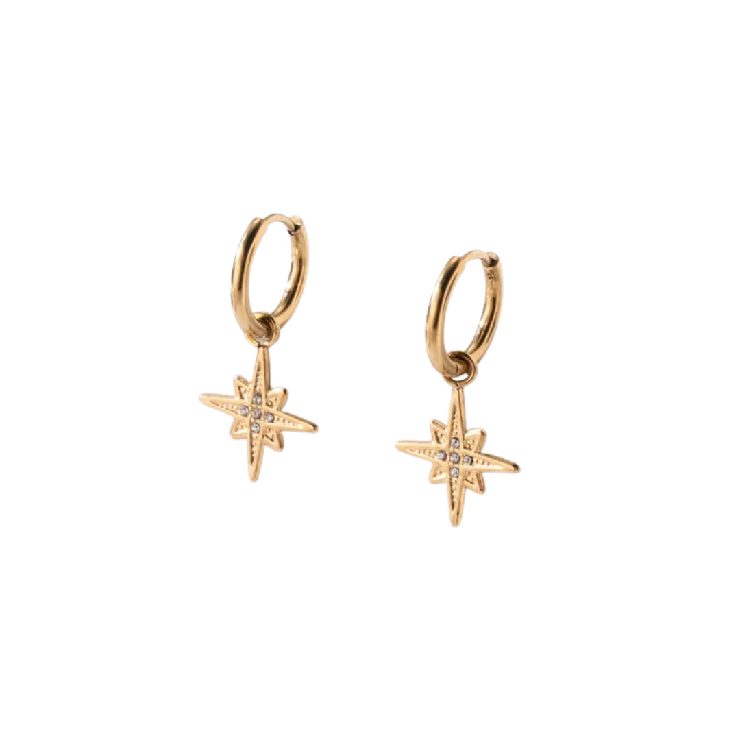 Star earrings