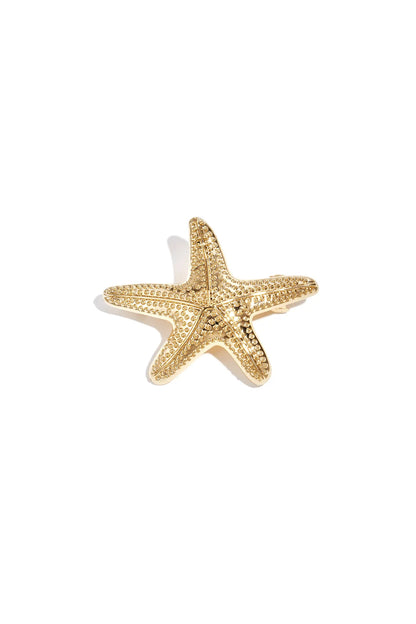 Hair clip sea star