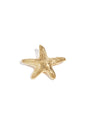 Hair clip sea star